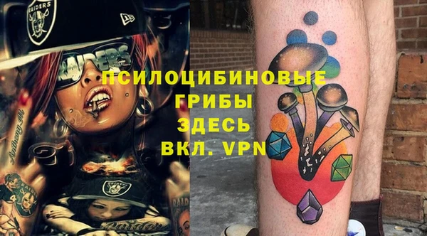 спиды Мегион