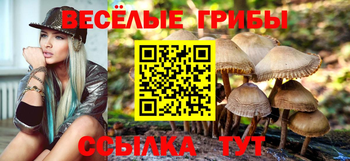 Псилоцибиновые грибы Psilocybe Лиски